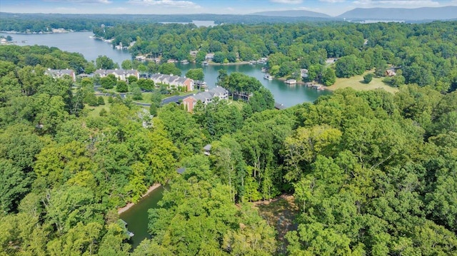 LOT1 Windlass Rd, Moneta, VA 24121