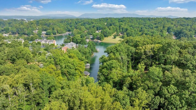 LOT1 Windlass Rd, Moneta, VA 24121