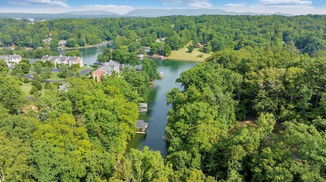 LOT1 Windlass Rd, Moneta, VA 24121