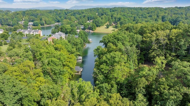 LOT1 Windlass Rd, Moneta, VA 24121