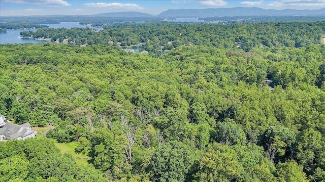 LOT1 Windlass Rd, Moneta, VA 24121