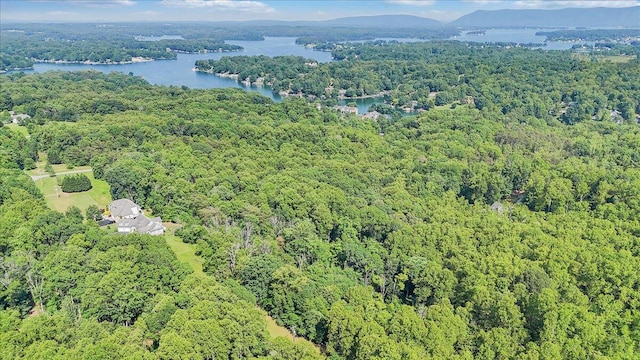 LOT1 Windlass Rd, Moneta, VA 24121