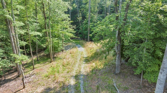 LOT1 Windlass Rd, Moneta, VA 24121
