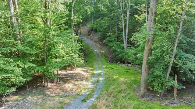 LOT1 Windlass Rd, Moneta, VA 24121