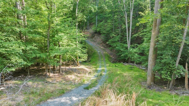 LOT1 Windlass Rd, Moneta, VA 24121