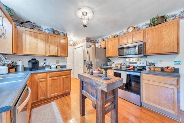 6119 Carolina Trl, Roanoke, VA 24019 - kitchen featuring stainless steel appliances, light wood-type flooring, and a sink