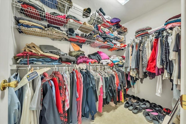 6119 Carolina Trl, Roanoke, VA 24019 - walk in closet with carpet