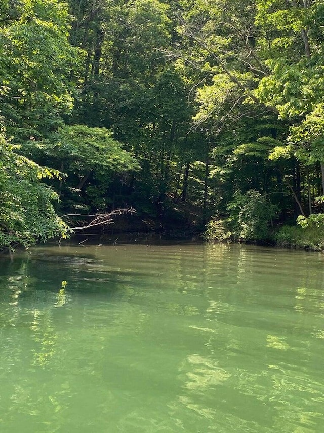 LOT8 Southwind Dr, Moneta, VA 24121