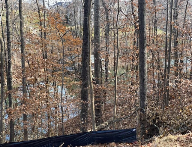 LOT8 Southwind Dr, Moneta, VA 24121