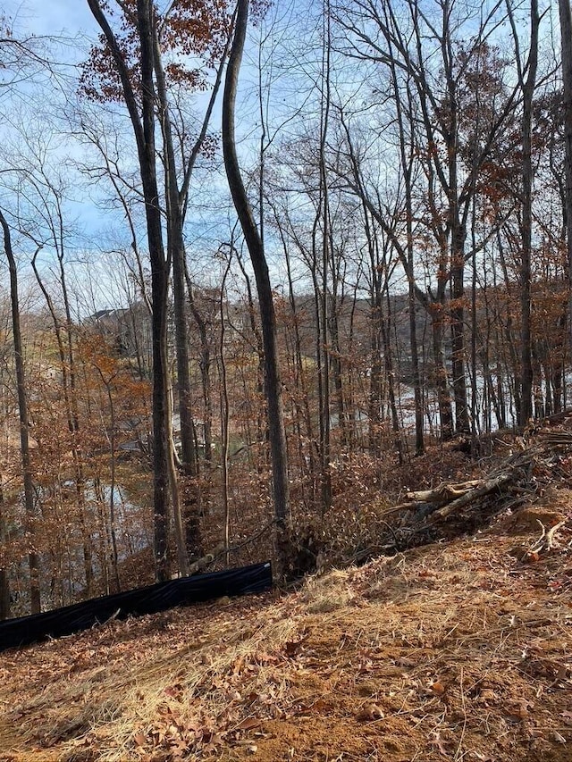 LOT8 Southwind Dr, Moneta, VA 24121