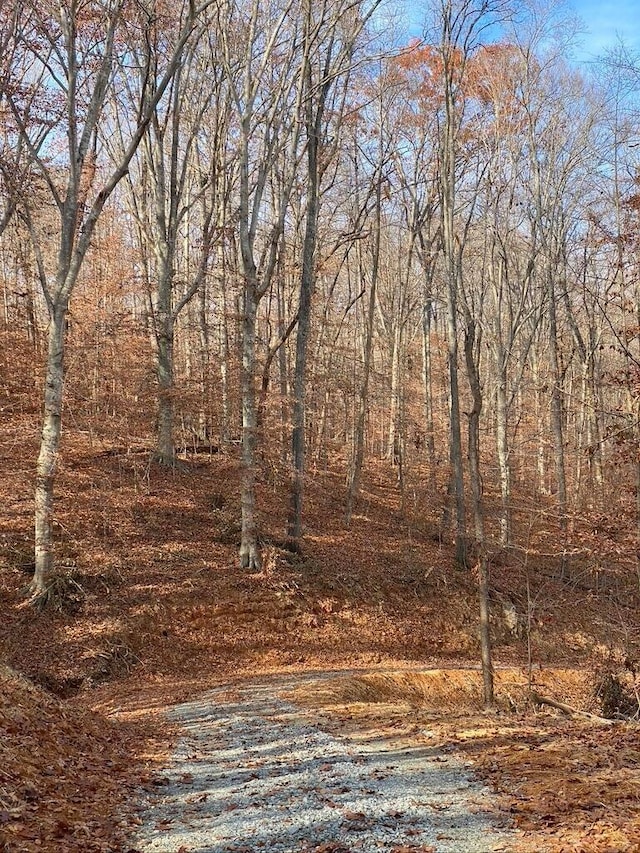 LOT8 Southwind Dr, Moneta, VA 24121