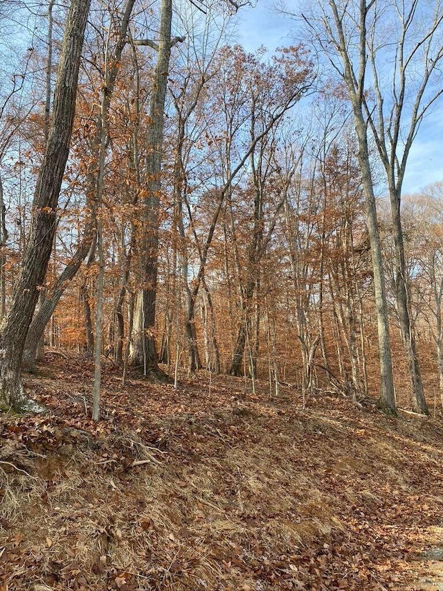 LOT8 Southwind Dr, Moneta, VA 24121