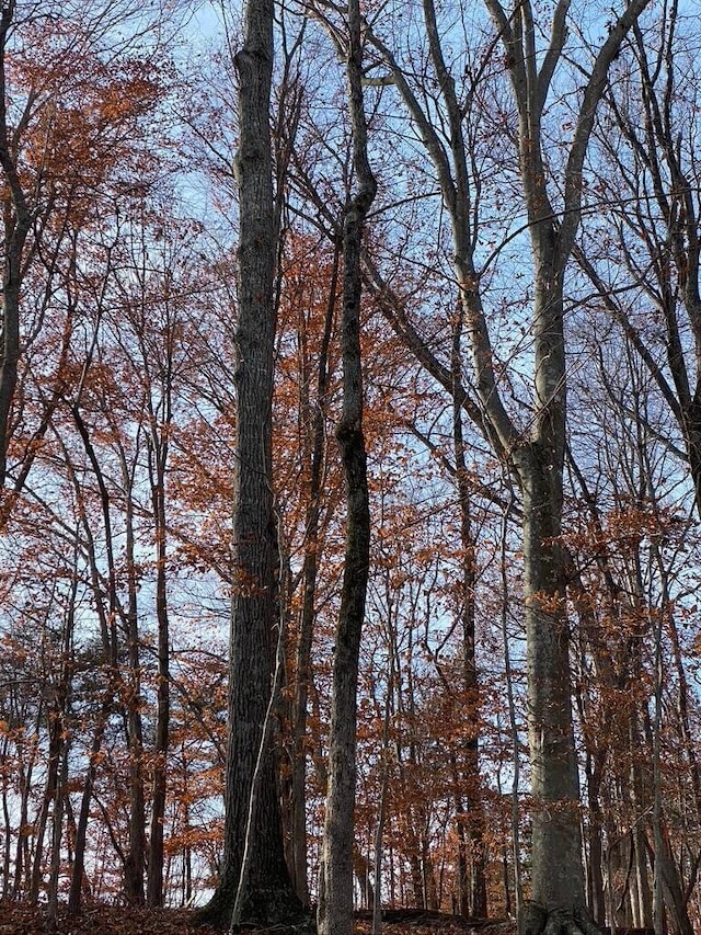 LOT8 Southwind Dr, Moneta, VA 24121