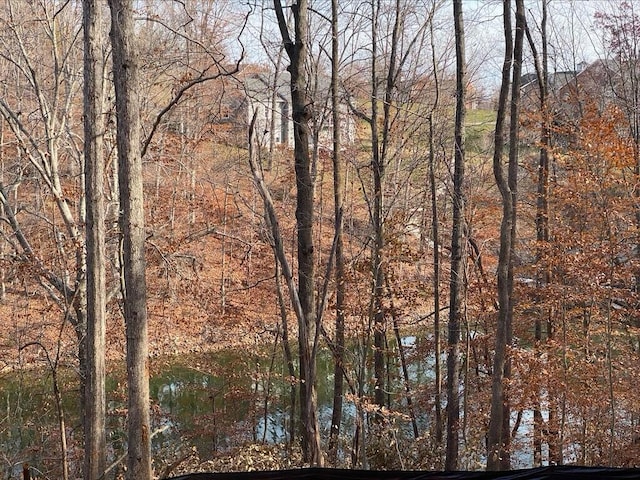 LOT8 Southwind Dr, Moneta, VA 24121