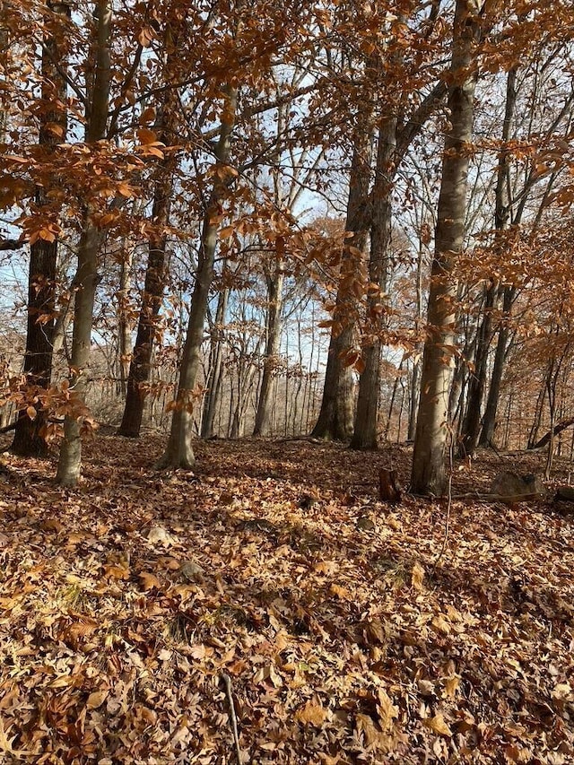 LOT8 Southwind Dr, Moneta, VA 24121