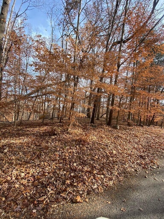 LOT8 Southwind Dr, Moneta, VA 24121