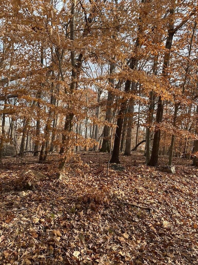 LOT8 Southwind Dr, Moneta, VA 24121