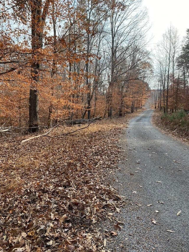 LOT8 Southwind Dr, Moneta, VA 24121