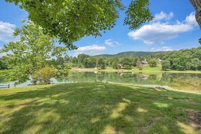 1207 Laymantown Rd, Troutville, VA 24175 - view of green lawn featuring a water view and a view of trees
