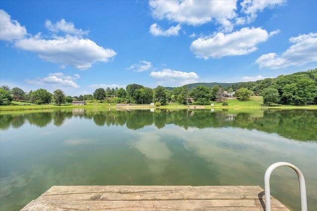 1207 Laymantown Rd, Troutville, VA 24175 - dock with a water view and a view of trees