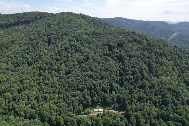 2550 Shooting Creek Rd, Ferrum, VA 24088