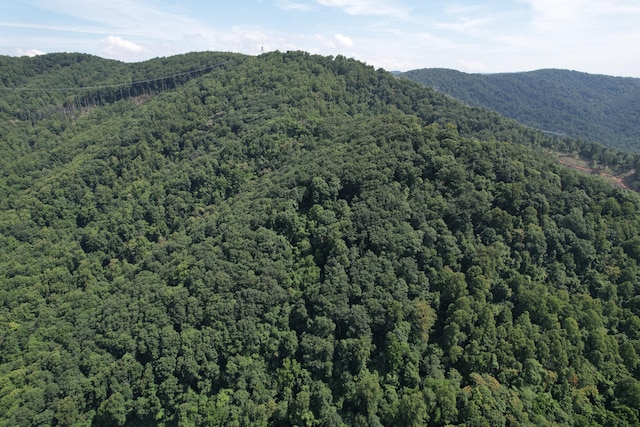 2550 Shooting Creek Rd, Ferrum, VA 24088