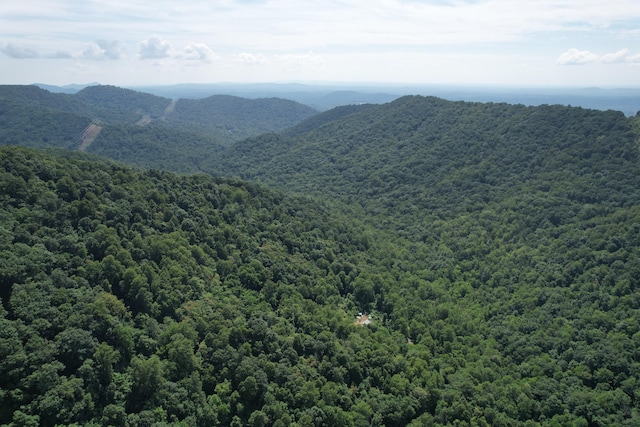2550 Shooting Creek Rd, Ferrum, VA 24088
