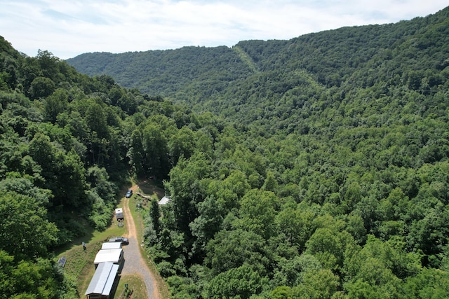 2550 Shooting Creek Rd, Ferrum, VA 24088