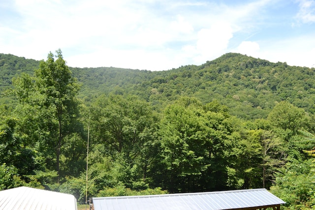 2550 Shooting Creek Rd, Ferrum, VA 24088