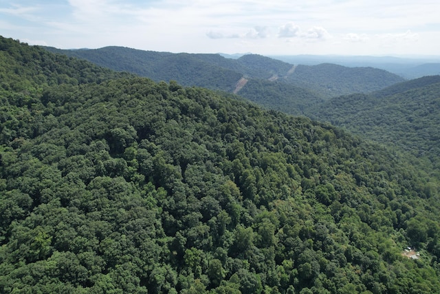 2550 Shooting Creek Rd, Ferrum, VA 24088