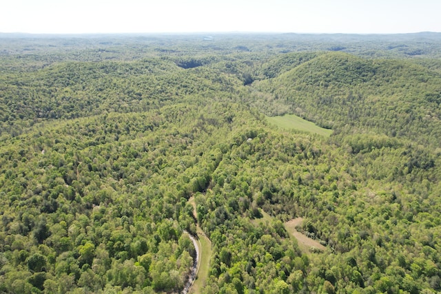 1644 Long Branch Hill Rd, Ferrum, VA 24088 - bird's eye view of a forest