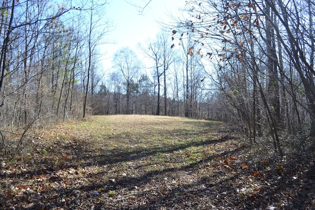 1644 Long Branch Hill Rd, Ferrum, VA 24088 - view of wooded area