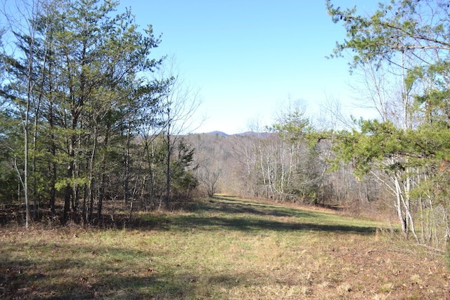1644 Long Branch Hill Rd, Ferrum, VA 24088 - view of yard featuring a forest view
