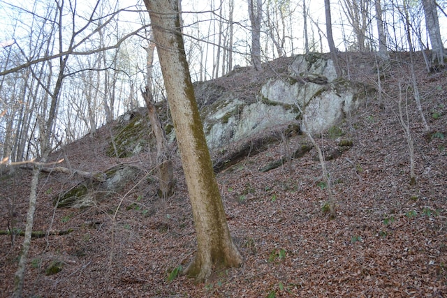 1644 Long Branch Hill Rd, Ferrum, VA 24088 - view of local wilderness