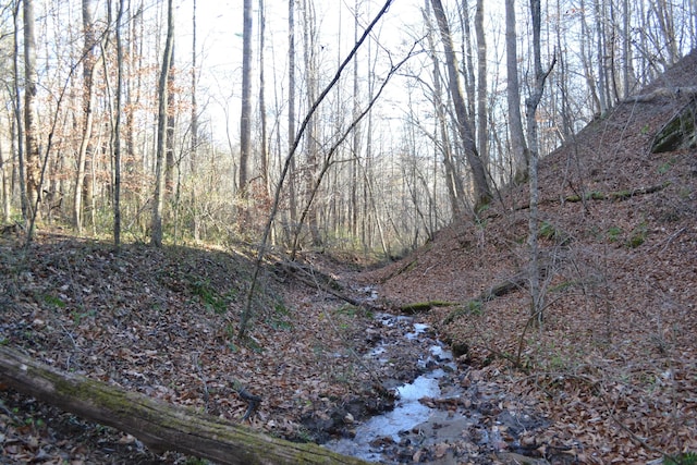 1644 Long Branch Hill Rd, Ferrum, VA 24088 - view of woods