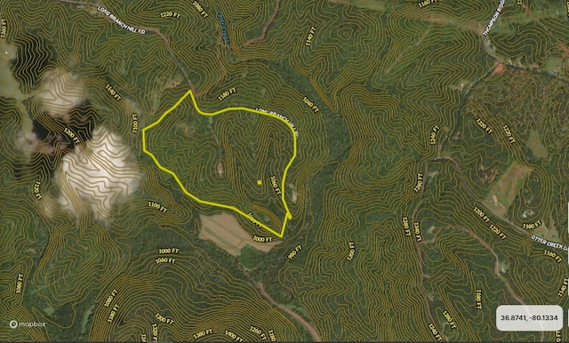 1644 Long Branch Hill Rd, Ferrum, VA 24088 - map / location
