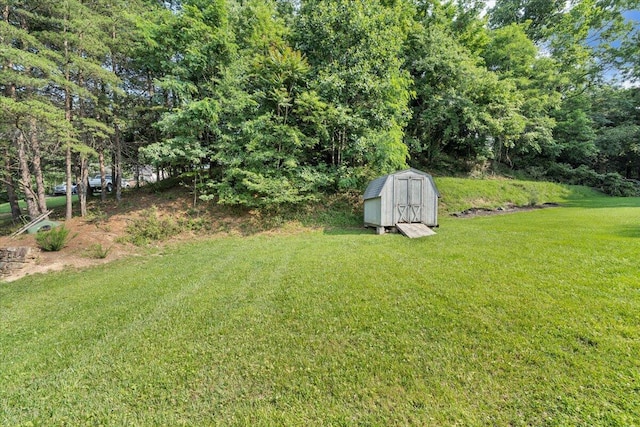 715 N Stonewall St, Salem, VA 24153 - view of grassy yard with a storage unit