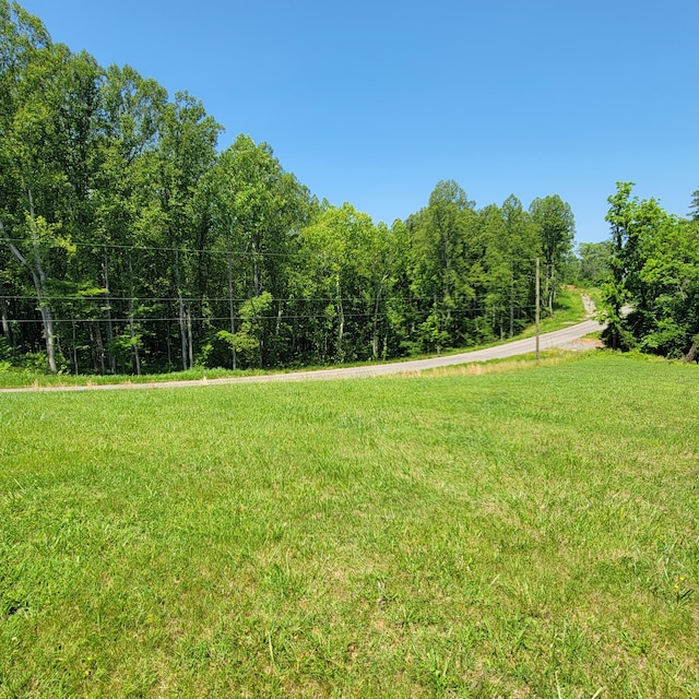 1160 Moorman Rd, Hardy, VA 24101 - view of green lawn with a view of trees