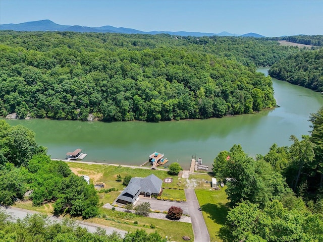 285 Dixon Dr, Hardy, VA 24101 - bird's eye view of a heavily wooded area and a water and mountain view
