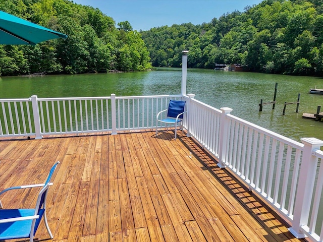 285 Dixon Dr, Hardy, VA 24101 - dock with a water view