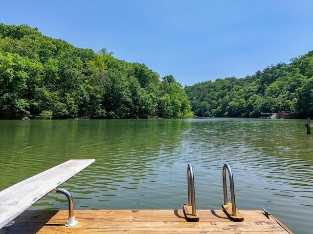 285 Dixon Dr, Hardy, VA 24101 - dock area featuring a water view and a wooded view