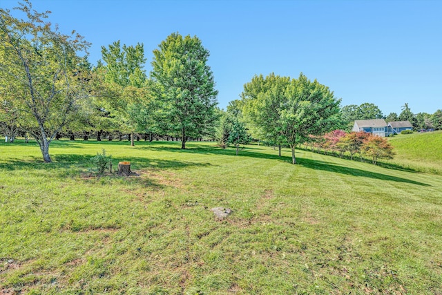 395 Middle Valley Rd, Hardy, VA 24101 - view of green lawn