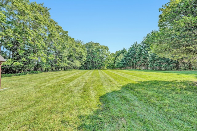 395 Middle Valley Rd, Hardy, VA 24101 - view of green lawn featuring a forest view