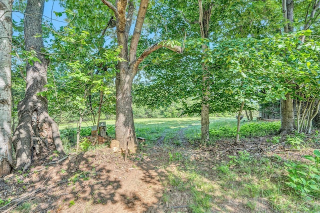 395 Middle Valley Rd, Hardy, VA 24101 - view of nature
