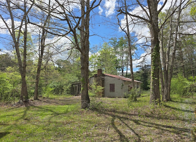 115 Wrights Branch Rd, New Castle, VA 24127 - view of yard