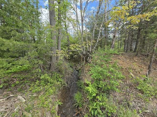 115 Wrights Branch Rd, New Castle, VA 24127 - view of local wilderness