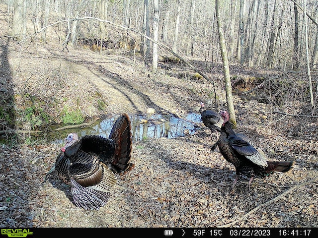 00 Rock Cliff Rd, Bedford, VA 24523