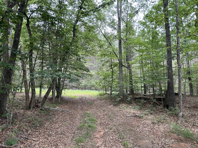 00 Rock Cliff Rd, Bedford, VA 24523