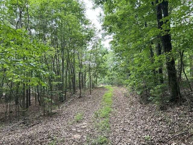 00 Rock Cliff Rd, Bedford, VA 24523