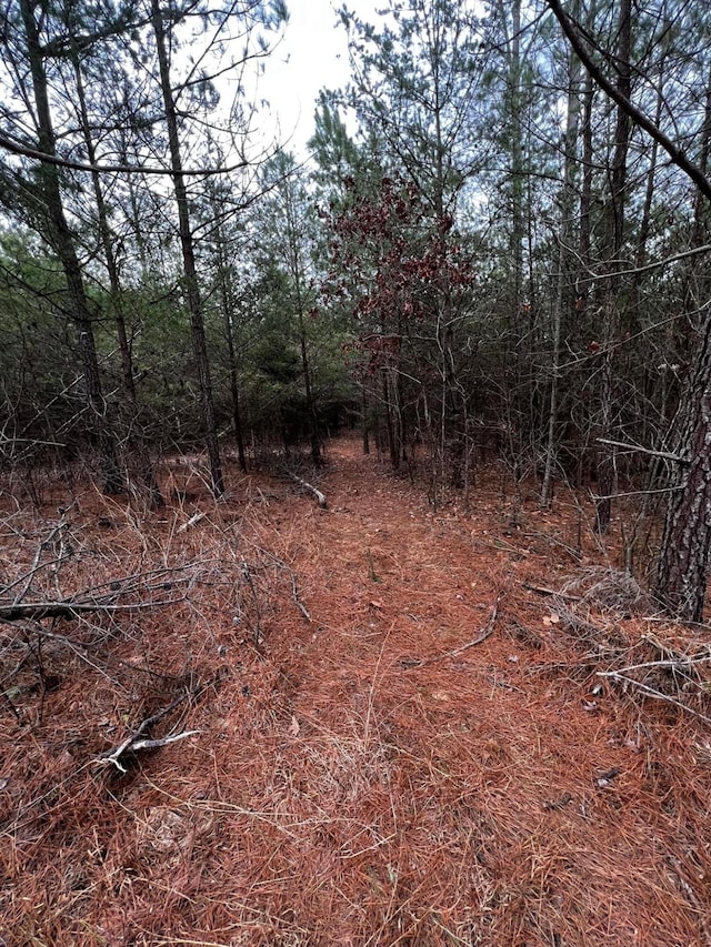 00 Rock Cliff Rd, Bedford, VA 24523